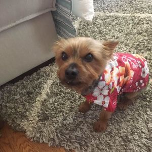 Meet your Posher, Cheryl